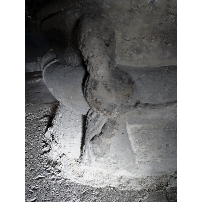 the knight stabs the thick body of the snake