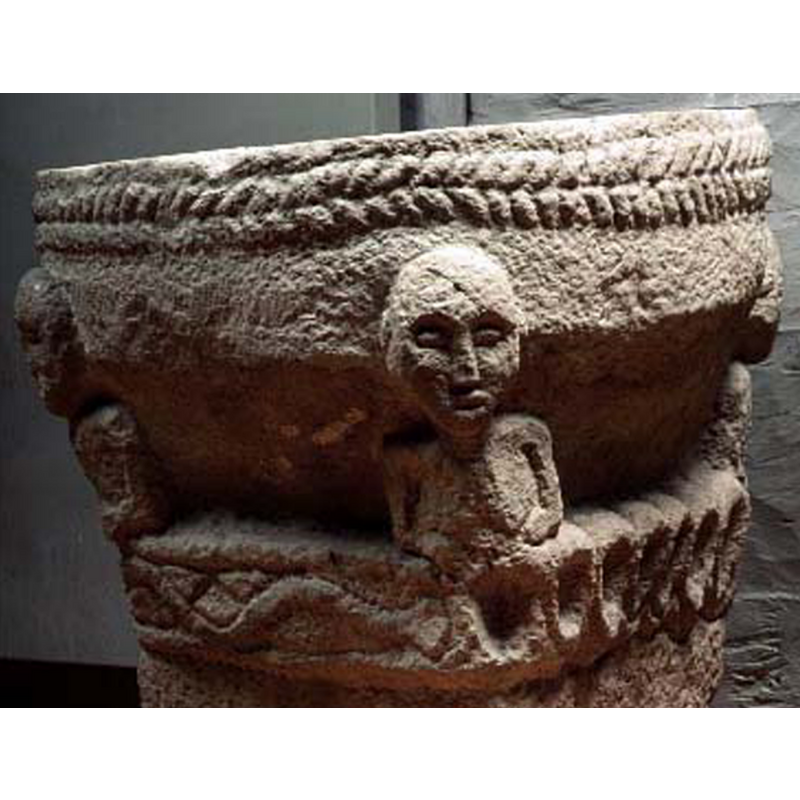 appears to have a head and a tail; seen here on the left side; or is it a vine?