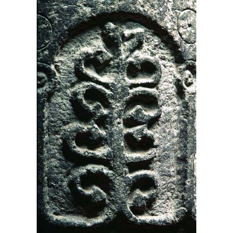 Source caption; "livsträd"