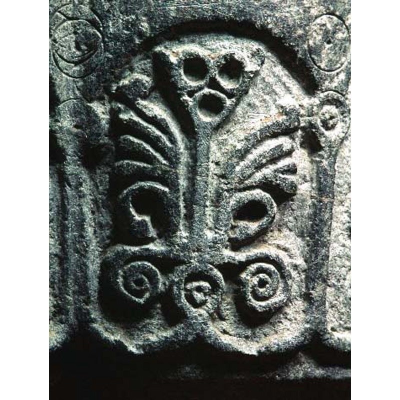 Source caption; "livsträd"