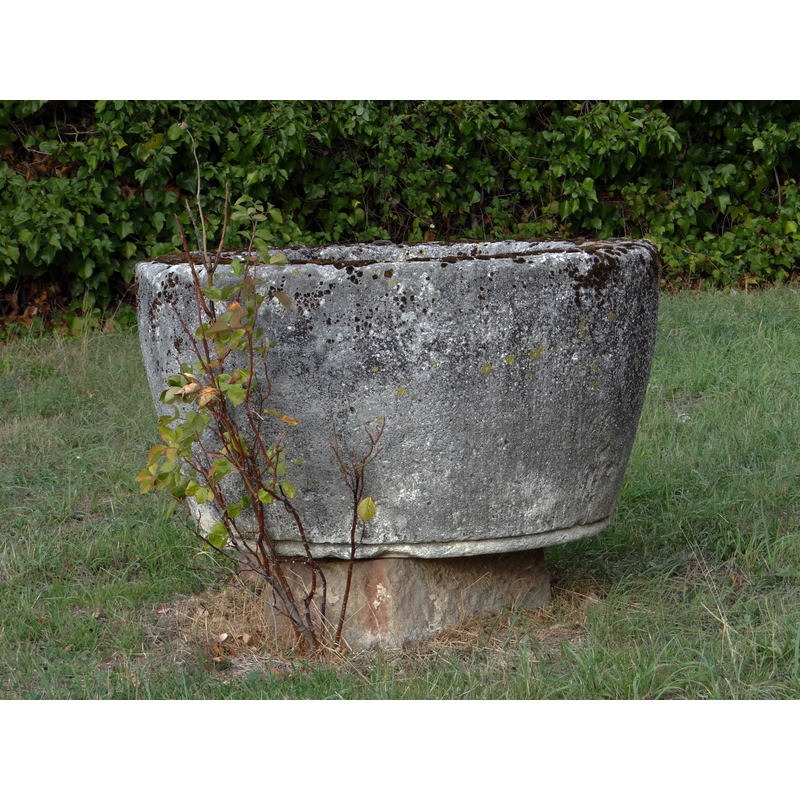 appears to be the only decoration on the basin