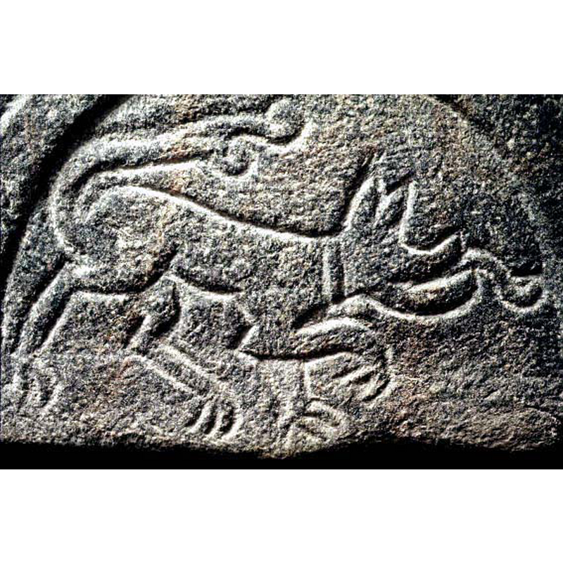 Source caption: "fyrfoting (lejon ?)" -- for the SHM identification as a lion are the floriated tail and tongue; against it are the canine head and collar