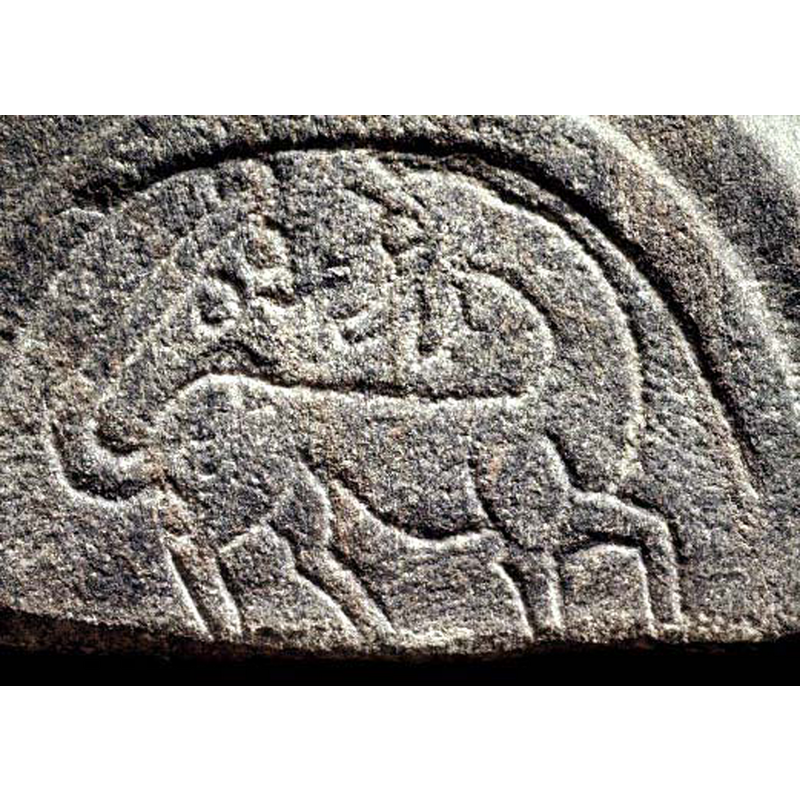 Source caption: "fyrfoting, tillbakablickande (lejon ?" -- the SHM is probably a good guess, despite the long neck and odd-looking head for a lion