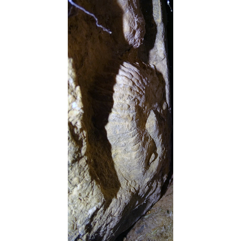 the lower part of the carved figure