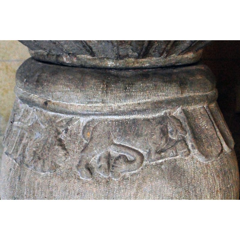 some seen here to the left of the passant lion