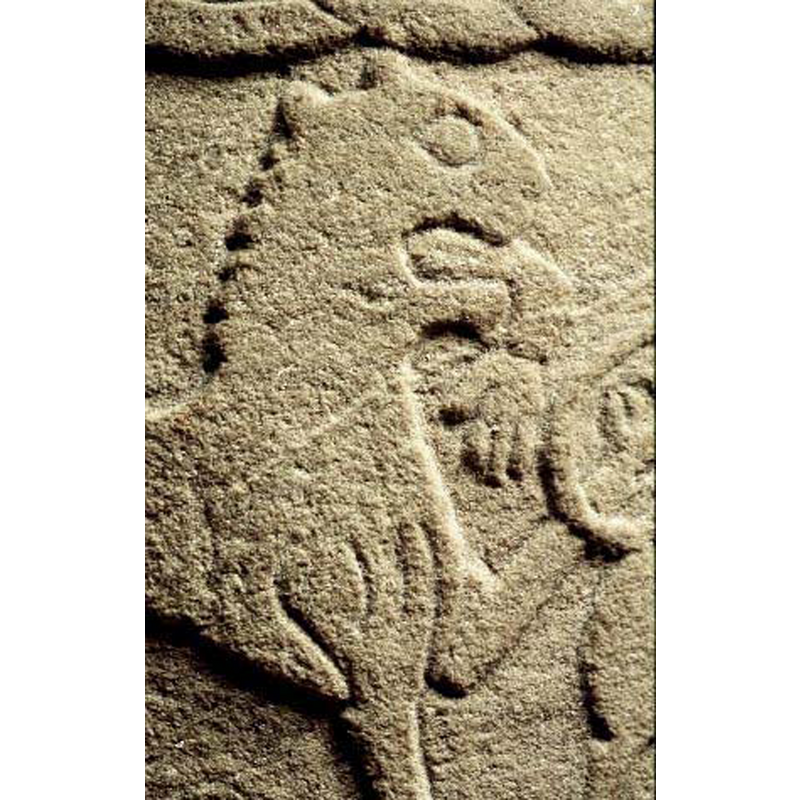 a detail of ImageFileNo. 1210908117: a human arm dangles from the lion's maw