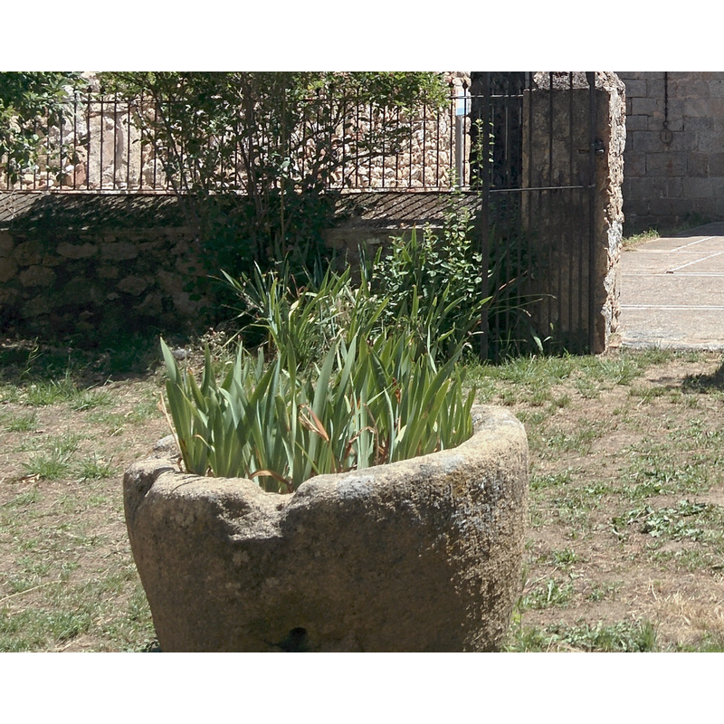Source caption: "Església de Sant Pere Cercada (Santa Coloma de Farners)" -- the tub vessel seen here, in front of the west portal of the church, may be the discarded medieval font of the monastery church; notice the large notch on the upper rim and the hole on the side below; the notch may be related to damage resulting from an old anchorage for the font cover; the hole below is clearly due to the use of this basin as garden trough/planter after its removal from the monastery church