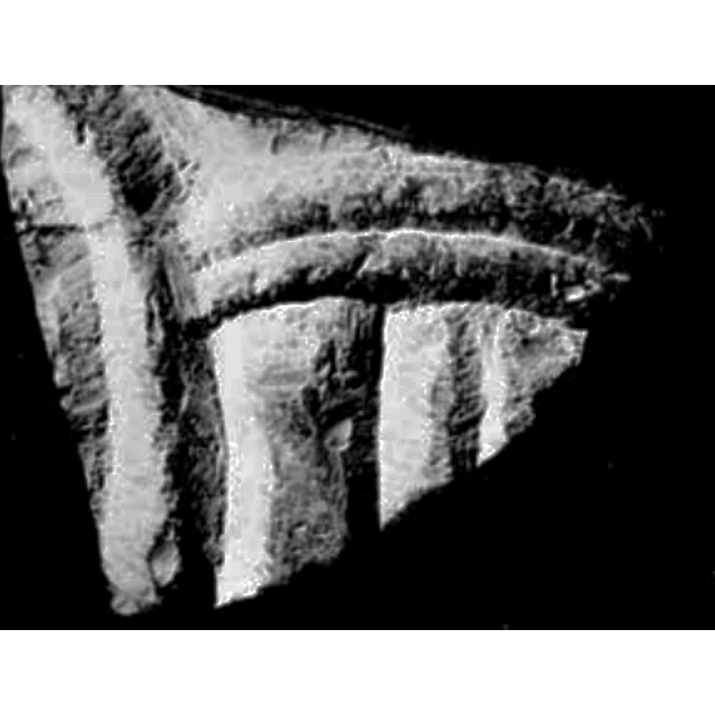 Source caption: "Fragment des fonts baptismaux de Vieuxville." [cf. FontNotes] -- fragment found buried in the chancel in 1955