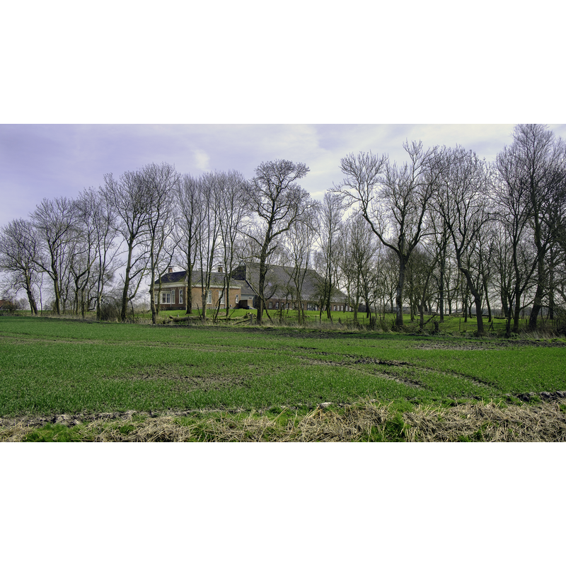 Source caption: " boerderij op de wierde van Eelswerd" [NB: the farm stands now on what is believed to have been the site of the medieval church of Eelsword]