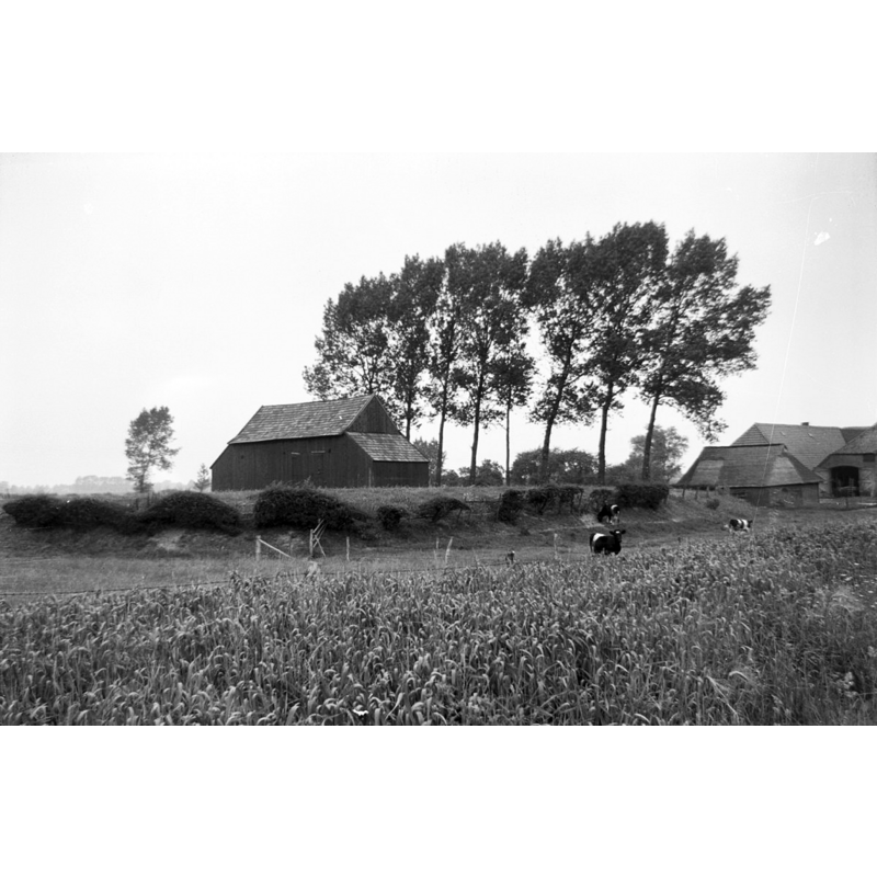 Source caption: "overzicht. het Noorse huisje" -- the Norwegian cottage where the fragment of the font is said to be kept