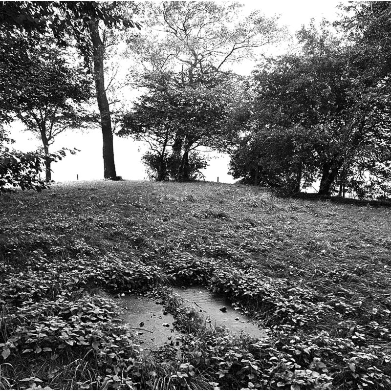 Main image for Kamperveen / Kampervene