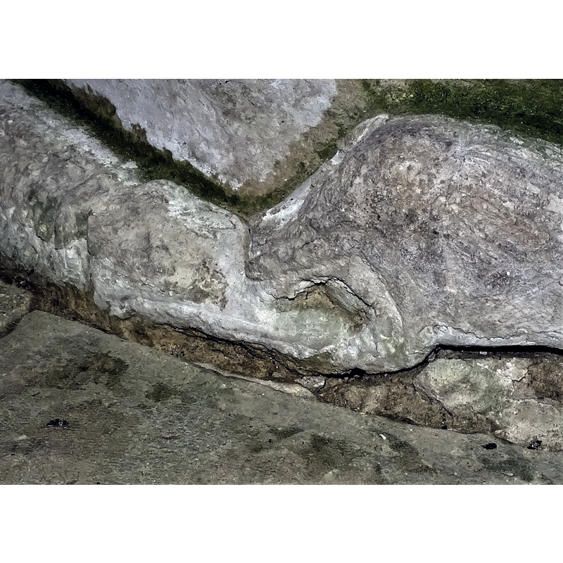 the head of the lion on the right bites the body of the snake on the left
