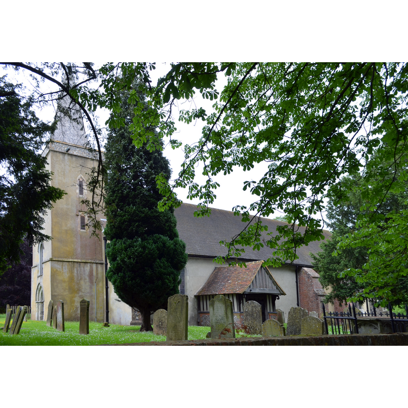 Source caption; "Dating from around 1250, it contains a splendid Jesse Tree window."