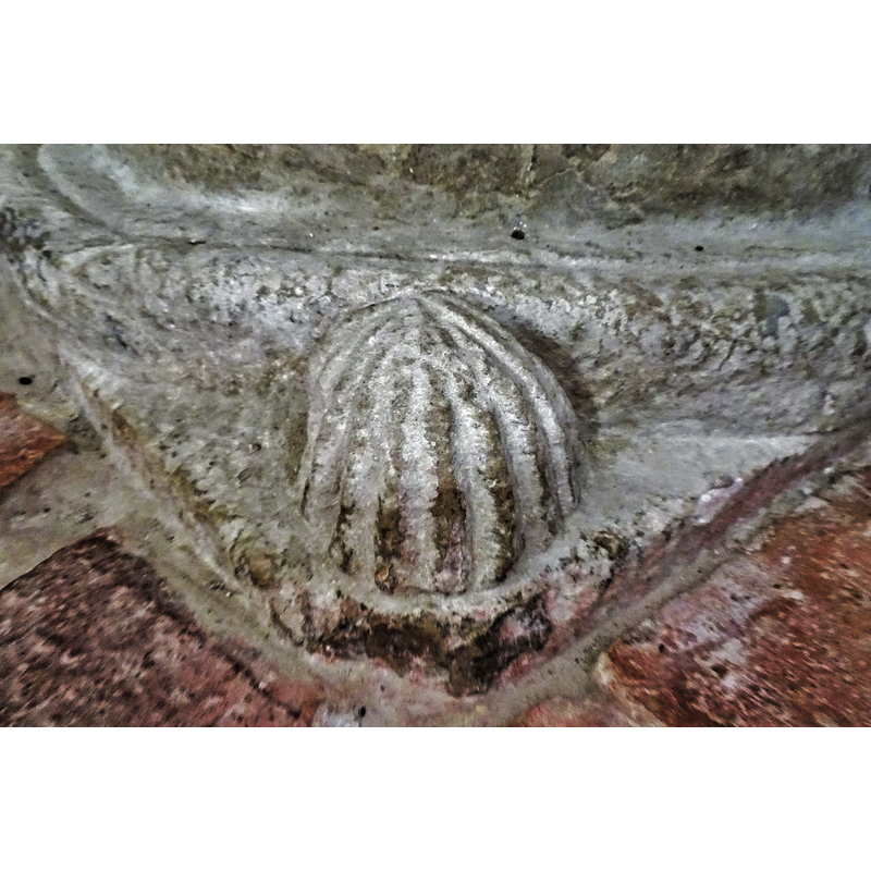 in one of the angles of the lower base