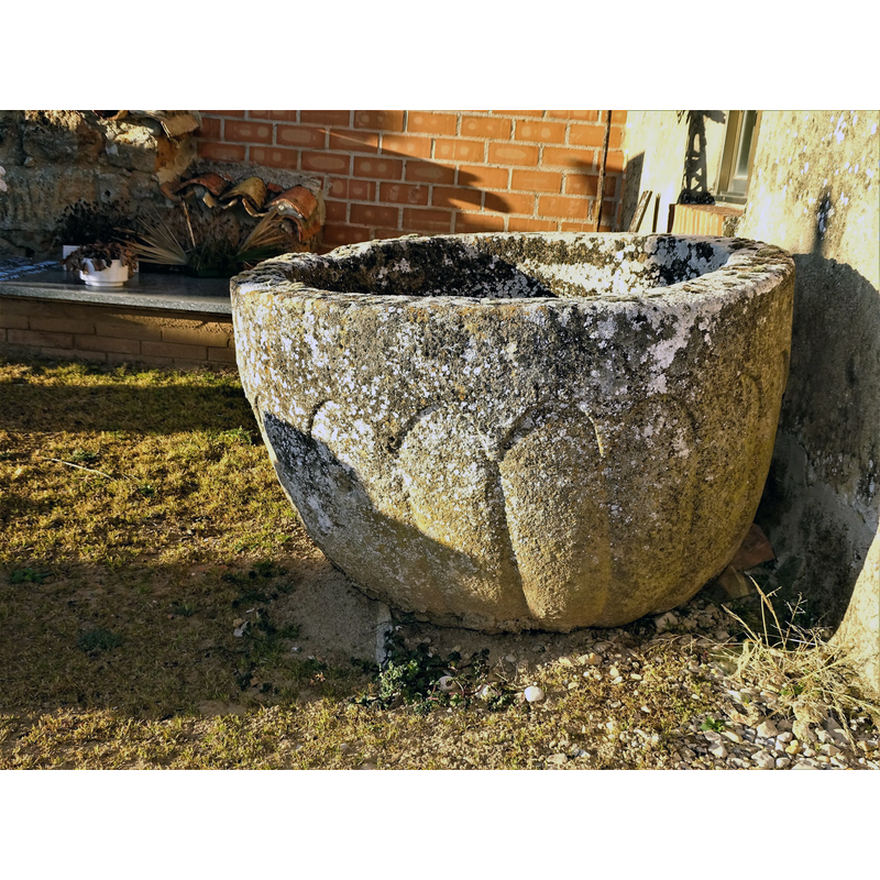 in the churchyard