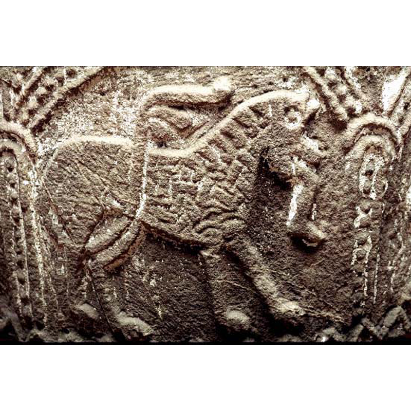 SHM caption: "lejon med människoben i munnen" -- passant to the right, with a human leg dangling from its mouth; the foliated tail in the classic position around the back hunches; decorative pattern on the front of the body suggests a lion's mane