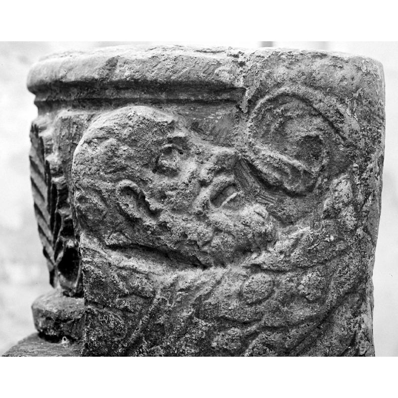 the garland and the head it wraps from below look as they would on a Renaissance font