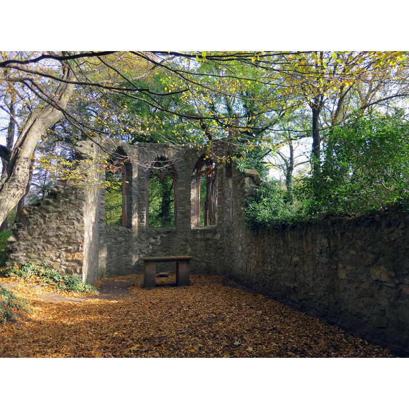 Source caption: " Klosterruine" -- re-built as a romantic ruin in 1831
