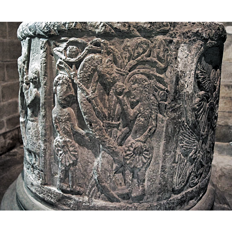 Source caption: "The Tree of Life"