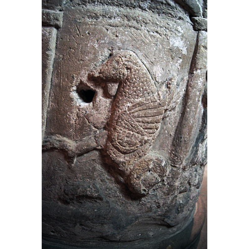 Source caption: "The rather unspectacular  dragon"