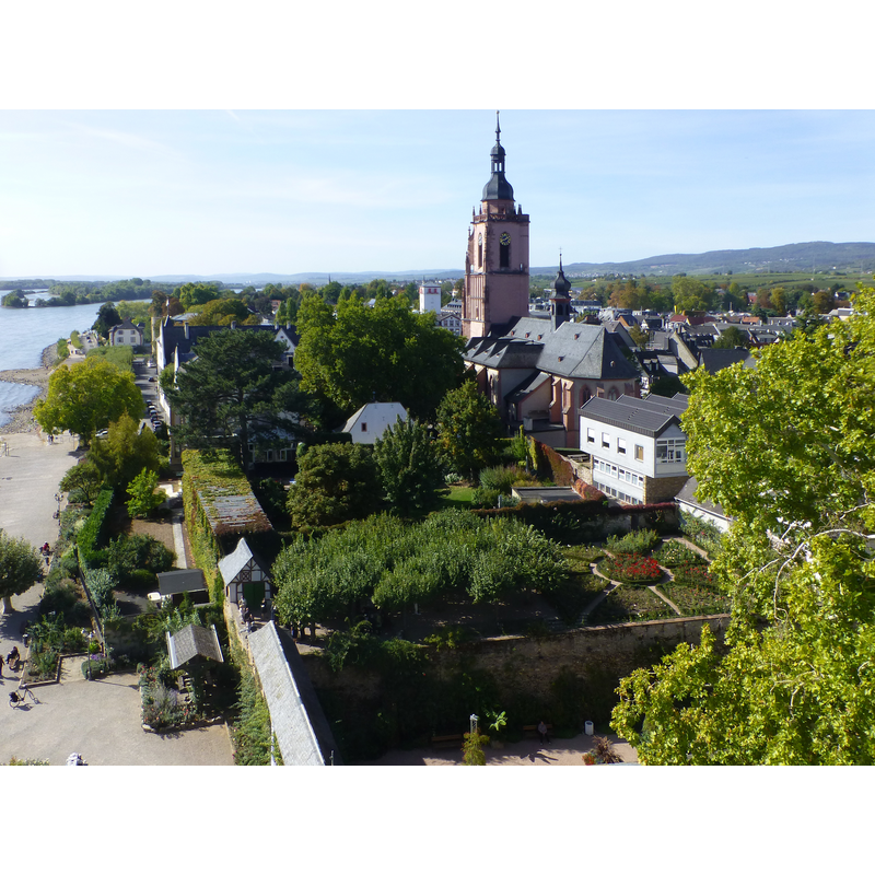 Source caption: "Blick von der Wehrplatte im 4. Oberschoss des Wohnturms der Kurfürstlichen Burg nach Westen; links der Rhein; in der Bildmitte die Pfarrkirche St. Peter und Paul"