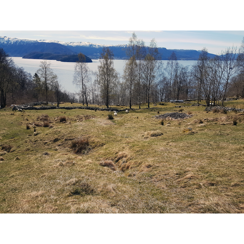 Source caption: "Gamle kyrkjestad Holmedal" -- the site and ruins of the medieval church, located 1.7 km from the present church [old site coordinates:  5.92068148, 59.7955791]