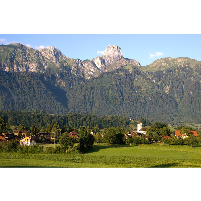 Source caption: "Amsoldingen" -- the church tower stands in white amidst the greenery