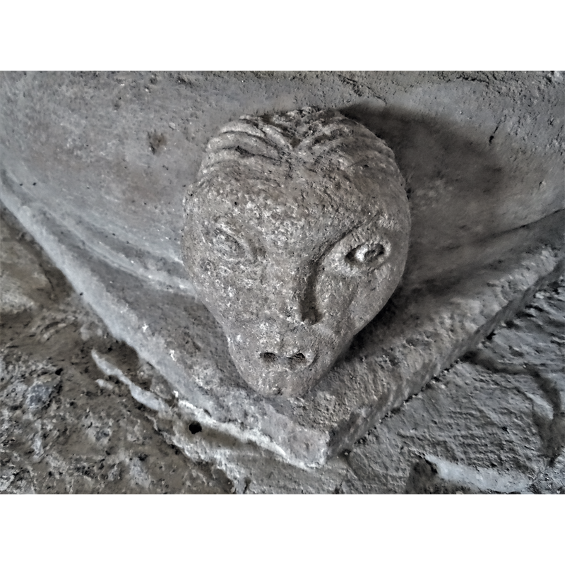 one of four heads set at 90-degree angles on the lower base