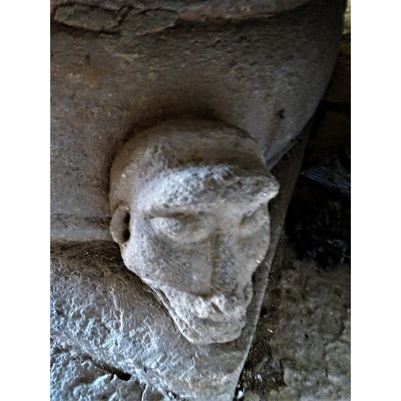 one of four heads set at 90-degree angles on the lower base