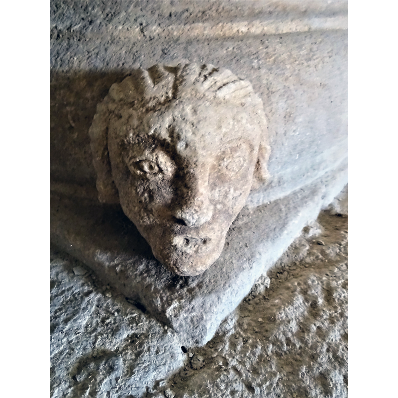 one of four heads set at 90-degree angles on the lower base