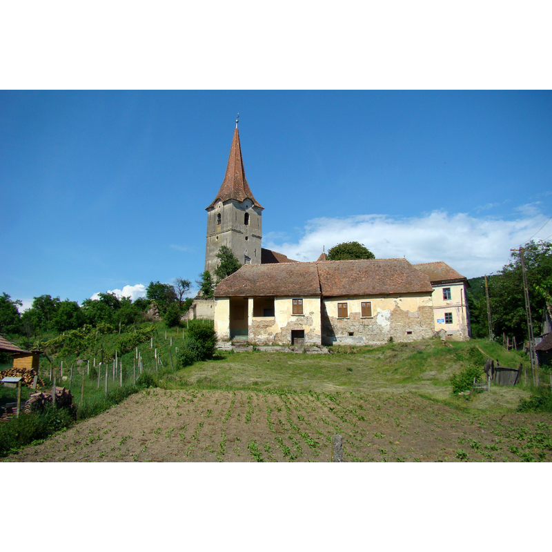 Source caption: "Ansamblul bisericii evanghelice fortificate, sat Filitelnic; comuna Bălăușeri" -- the Lutheran church in Filitelnic