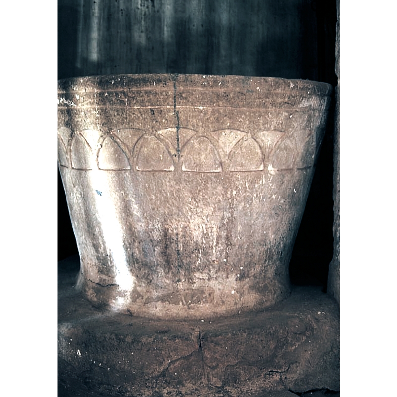 Main image for Aylloncillo / Ailloncillo