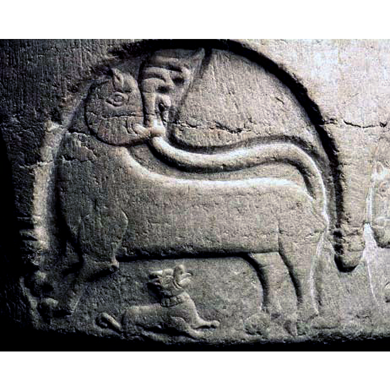 a tiny dog wearing a collar appears to be barking up to the much larger lion above it