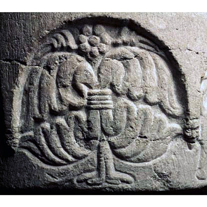 Source caption: "livsträd"