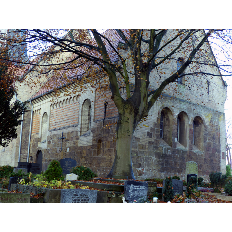 Main image for Blexen