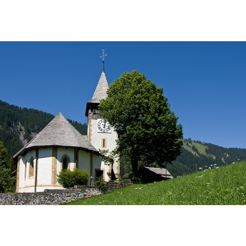 Main image for Lauenen / Lauvine / Lavina