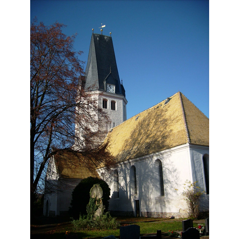 Main image for Wiedemar