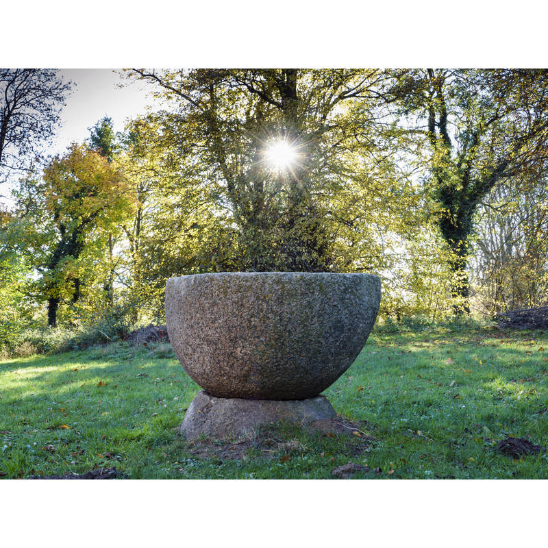 Main image for Moisall