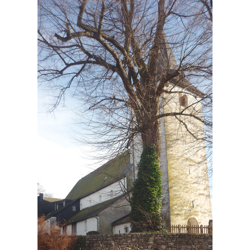 Source caption: "Ev. Pfarrkirche Altstadt Hachenburg"
