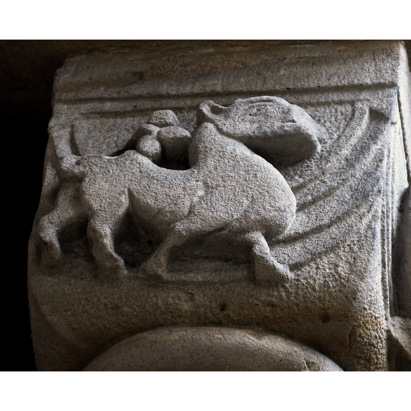Source caption: "Kloster Paulinzella ( Thüringen ). Klosterkirche ( 12. Jhdt. ) - Westportal: Romanisches Kapitell mit Relief eines Kamels (?)" [NB: more likely a Romansque lion, with the characteristic foliated tail-end over its hind-quarters, damaged in this case]