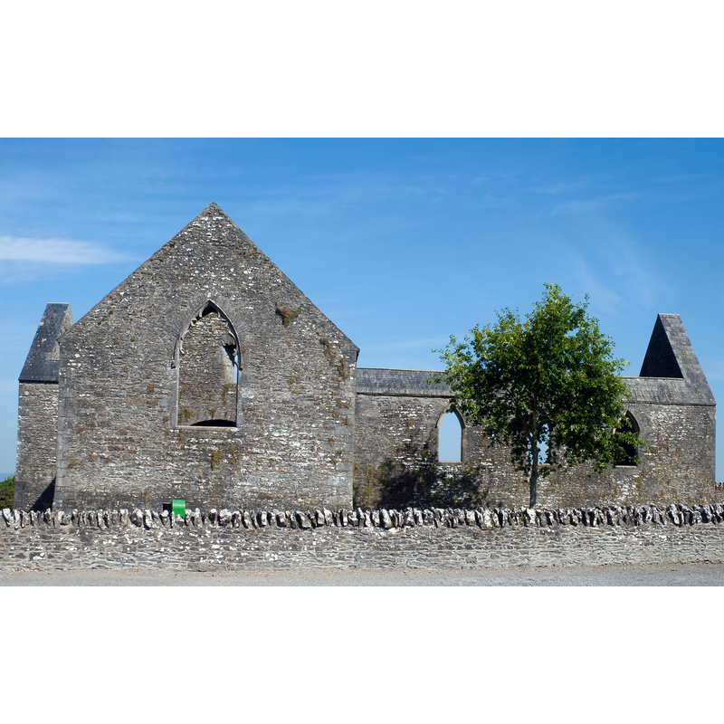 Source caption: "South view of the Dominican Priory of St. Canice in Aghaboe with O'Foelain's Chapel on the south side in the front and the aisleless church, 15th century. The Gothic tracery of the windows were removed in 1773."