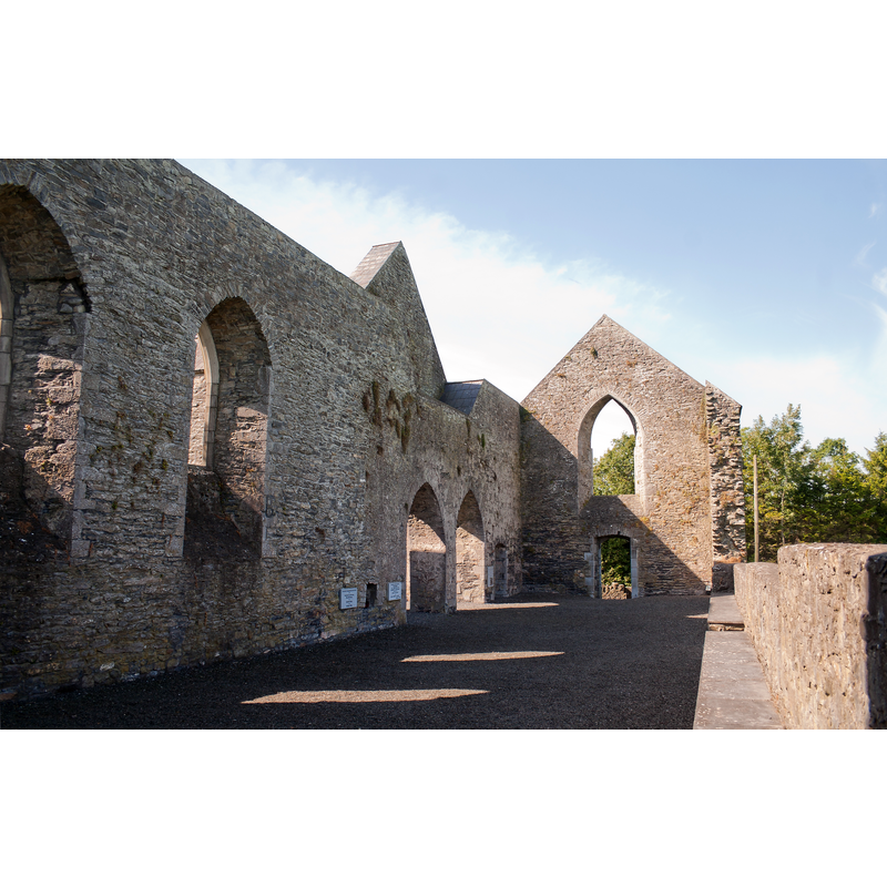 Source caption: "Nave of the Dominican Priory of St. Canice in Aghaboe, looking west."