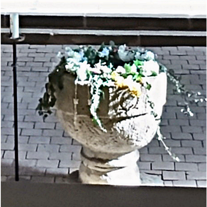 Main image for Nottleben / Notteleibin