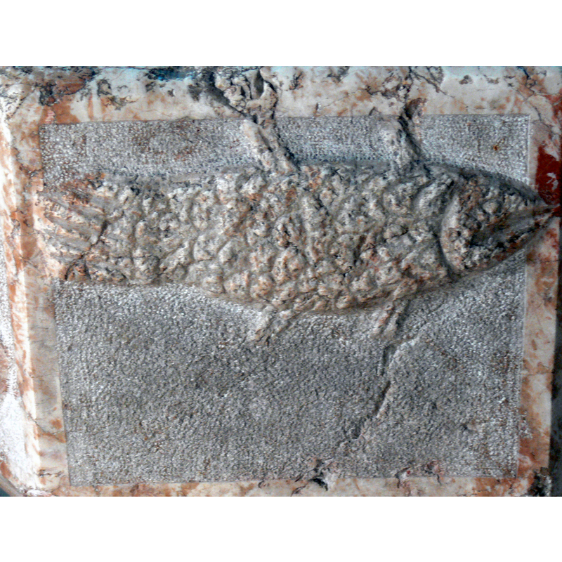 Source caption: "Altmünster ( Oberösterreich ). Kath. Pfarrkirche hl. Benedikt: Romanischer Taufstein ( 12.Jhdt. ) - Relief eines Fischs."