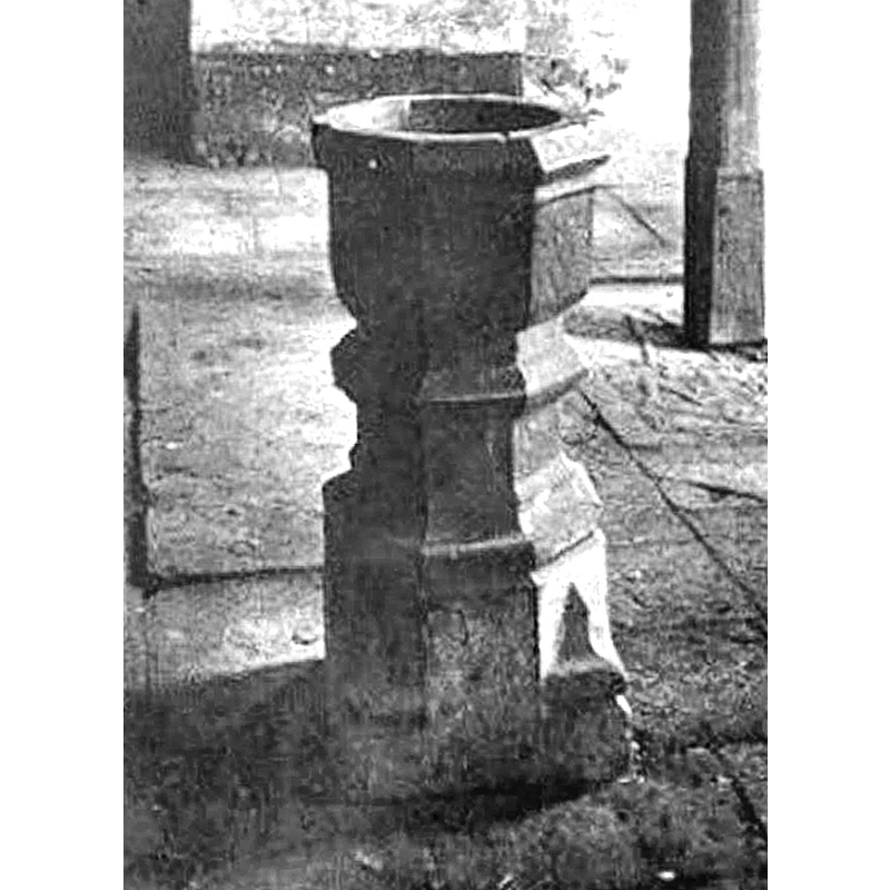 Main image for Beez / Bê
