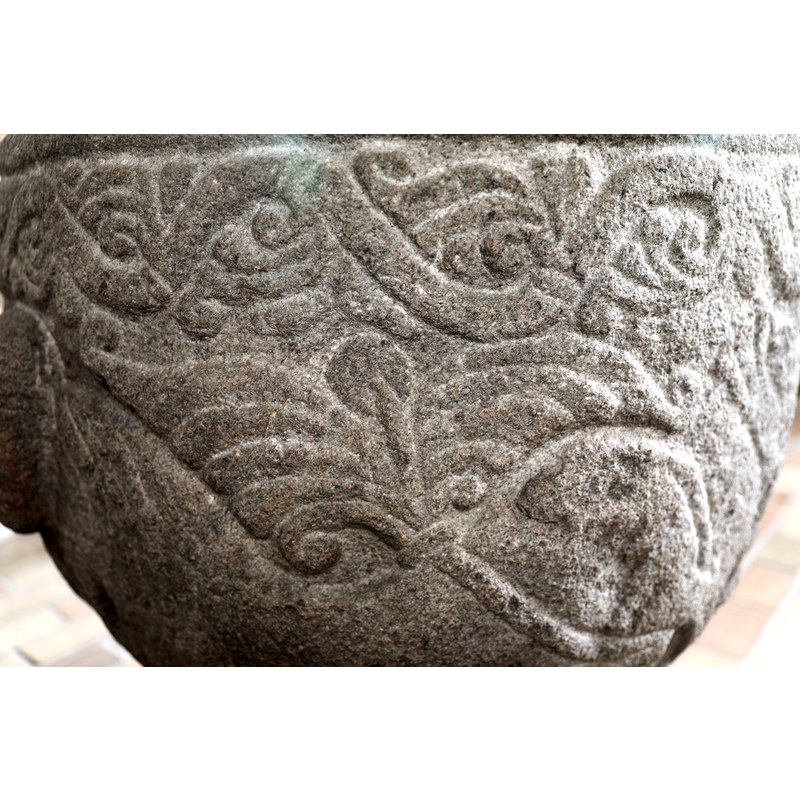 A broad vine below the upper rim, all around -- the butterfly-like object below is the tail of one of the bodies of the bi-corporate lion.
