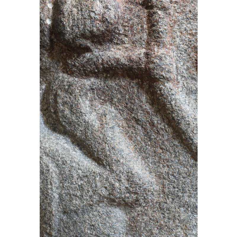 the lion bites the head of the figure who holds his arm to a branch of a Tree of Life (?)