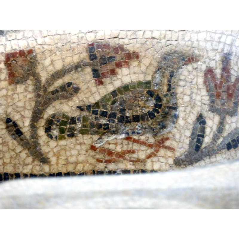 Source caption: "Kelibia baptistry detail"