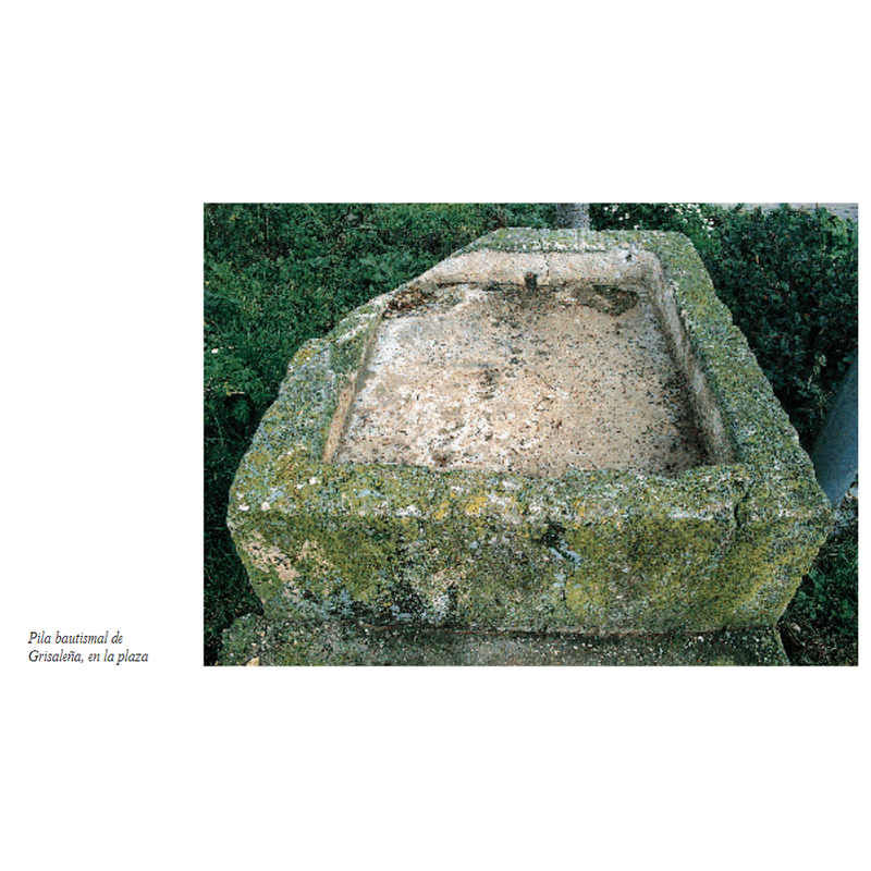 Main image for Grisalena / Grisaleña