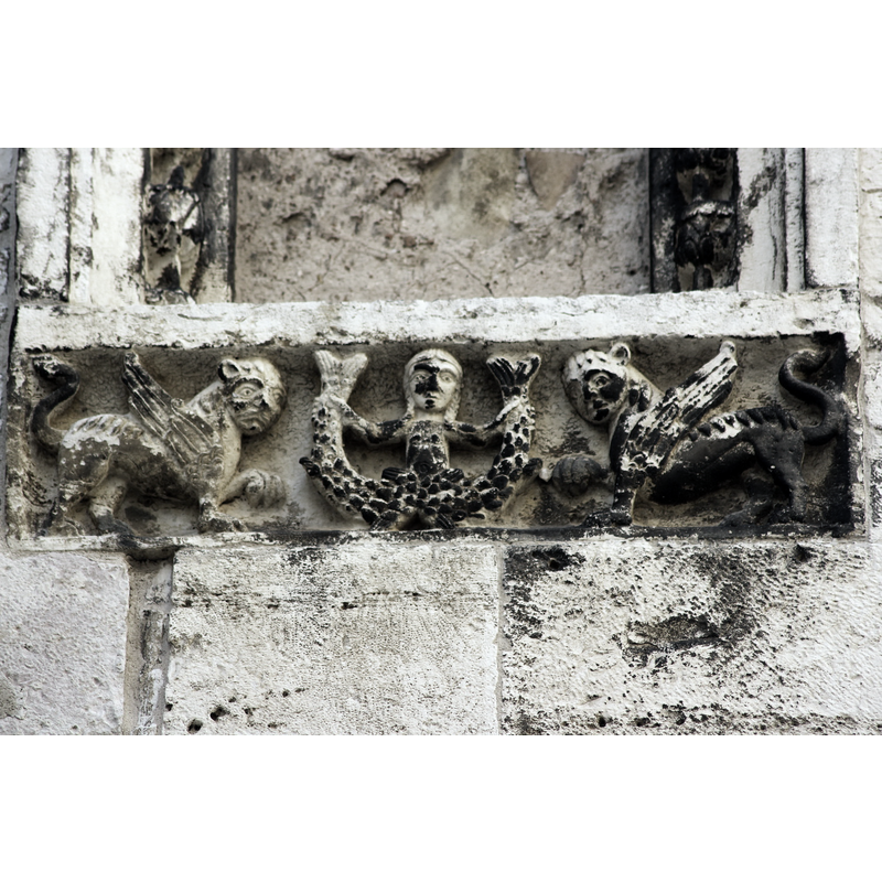 Source caption: "Sirena bicaudata nella cattedrale di Barletta."